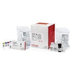 https://www.dev3.thermofisher.com/content/dam/LifeTech/Images/Brands/search/default-brand.jpg